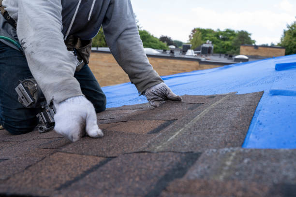 Best Roof Repair Services  in Salmon Brook, CT